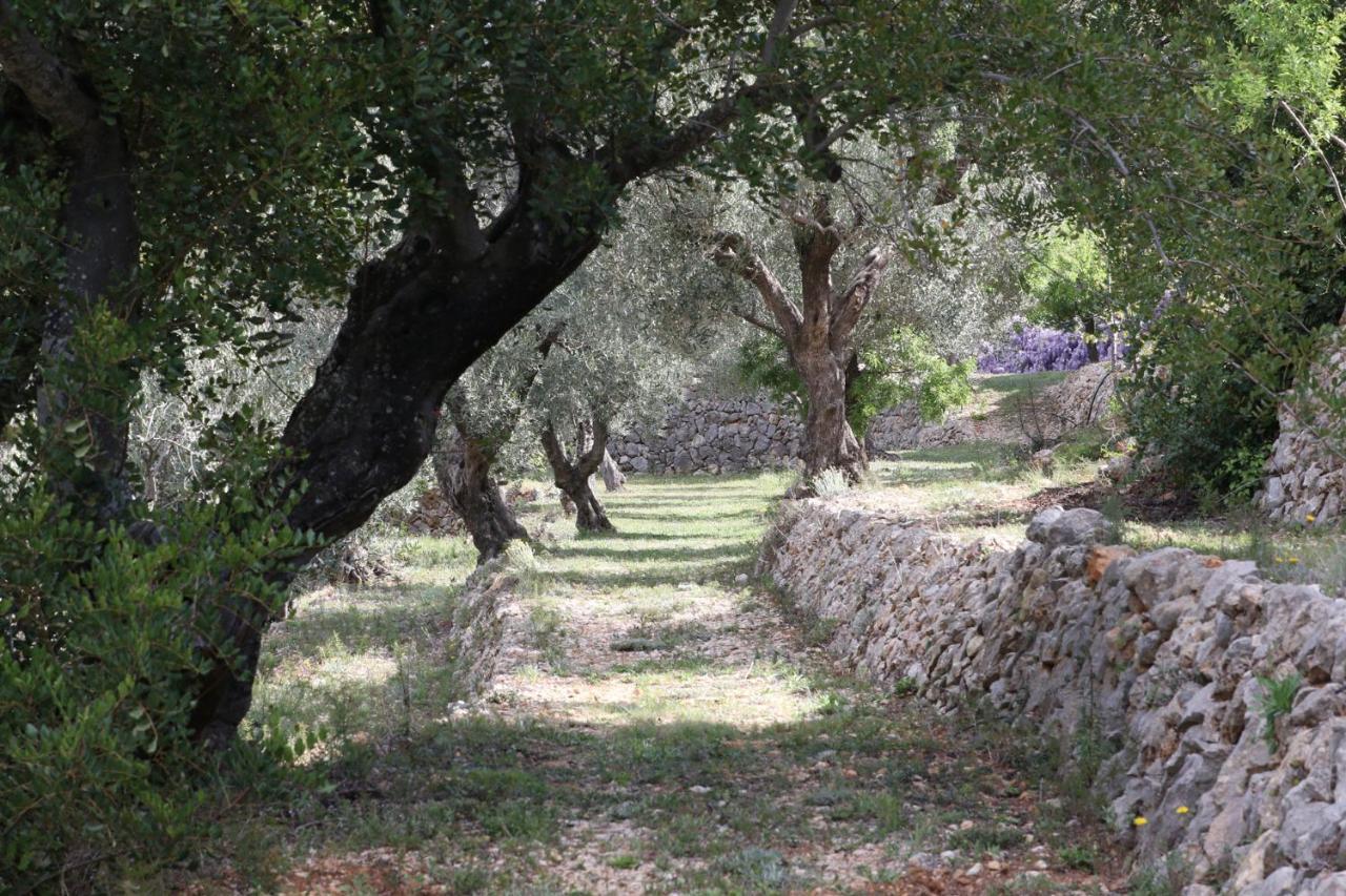 Villa Foia Vella - Adults Only Benigembla Exteriör bild